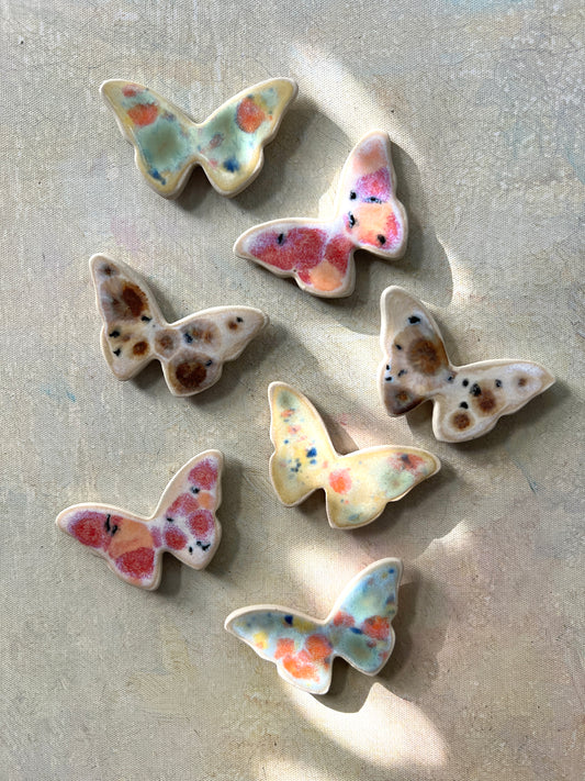 Butterfly & Moth Magnet