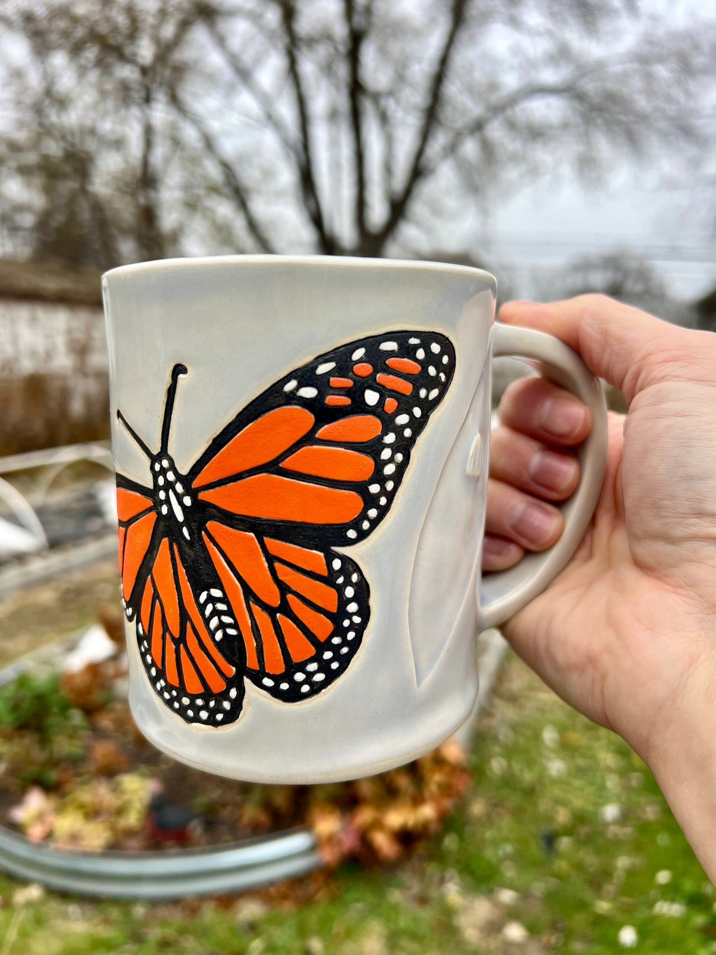 Monarch Life Cycle Mug