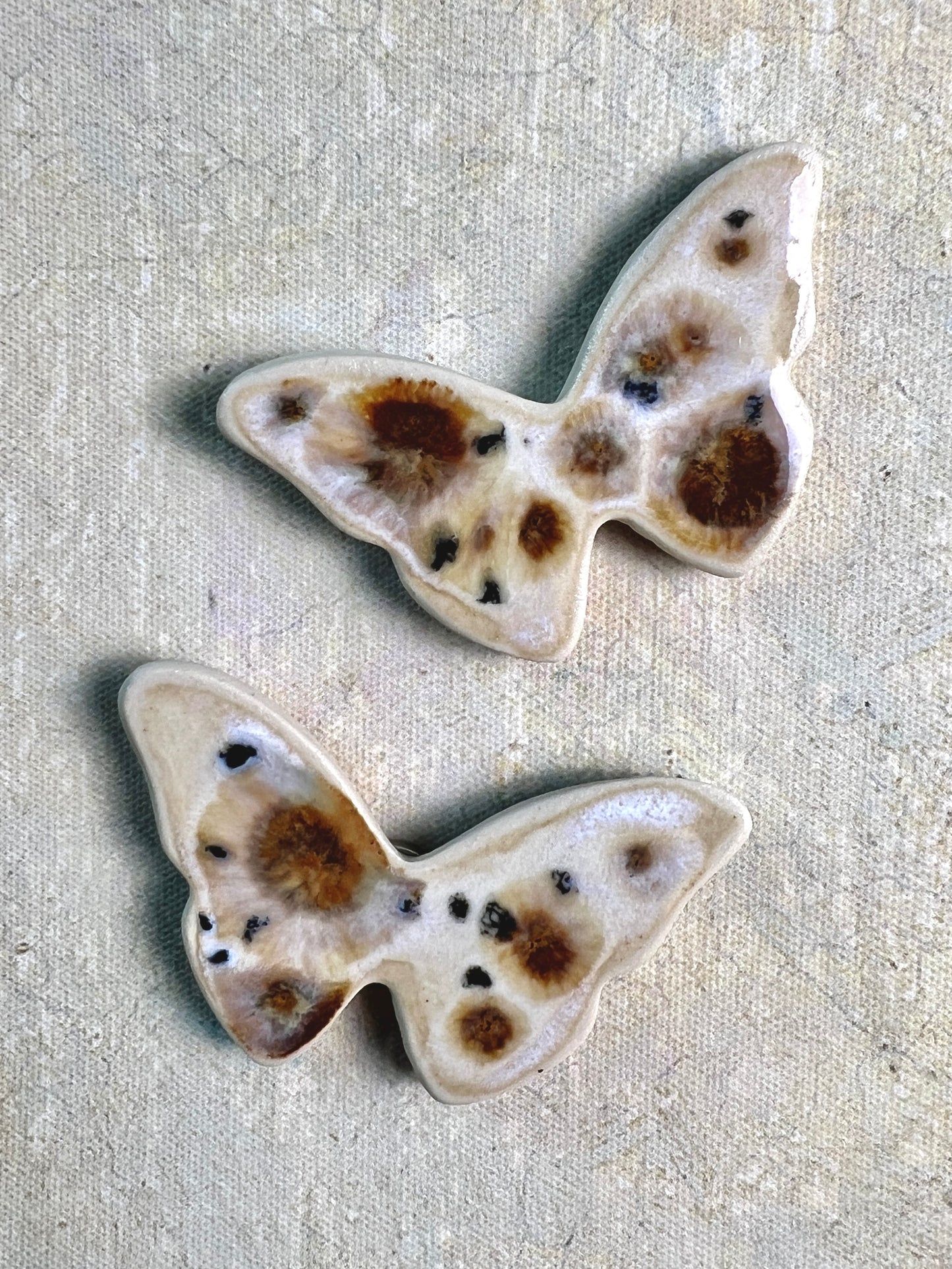 Butterfly & Moth Magnet