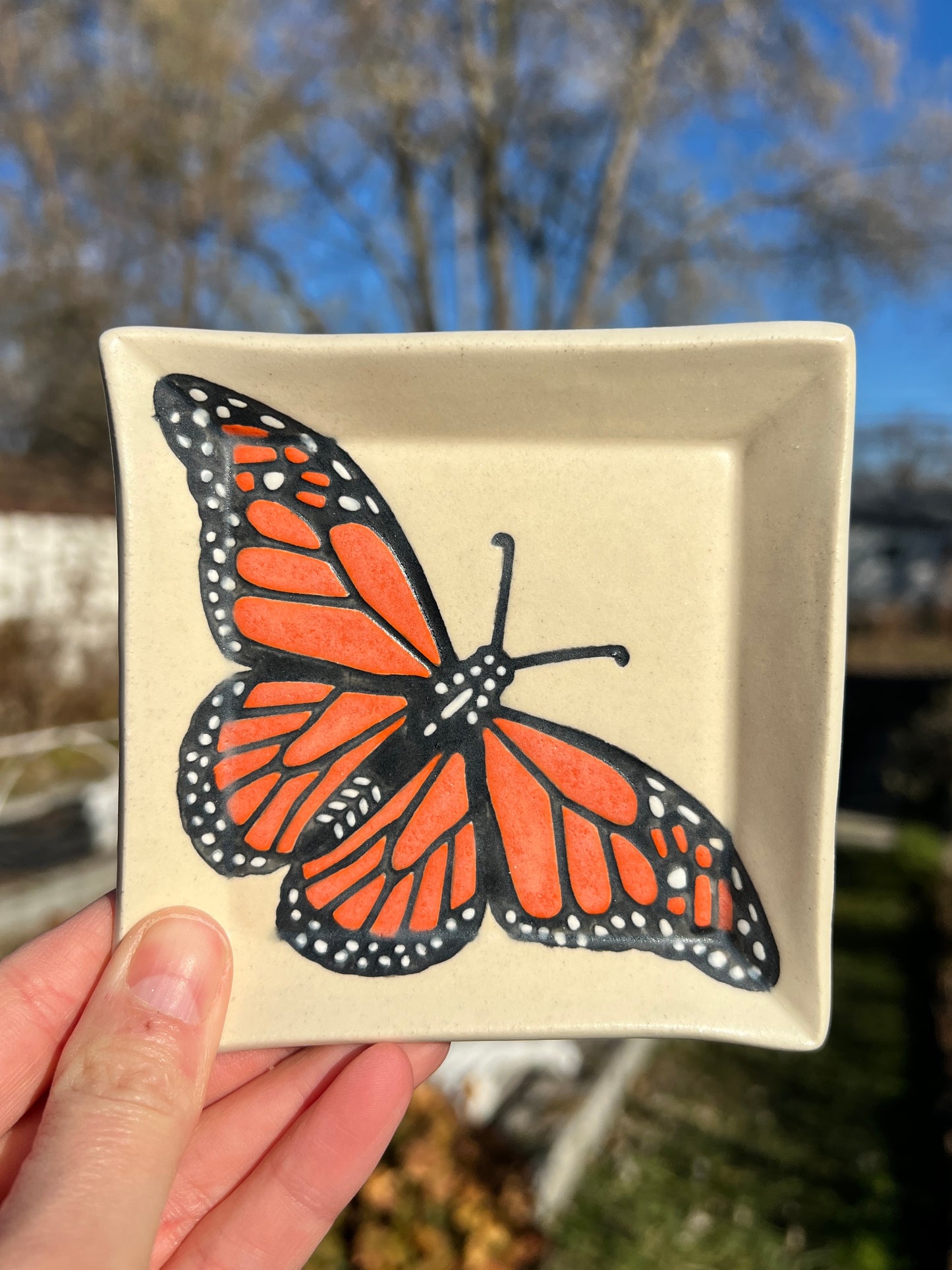 Small Monarch Dishes