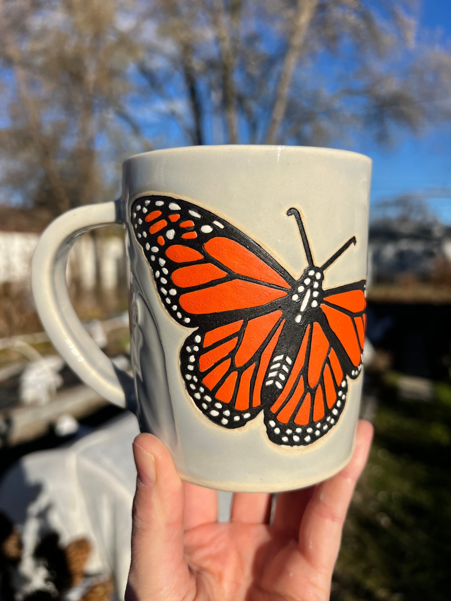 Monarch Life Cycle Mug