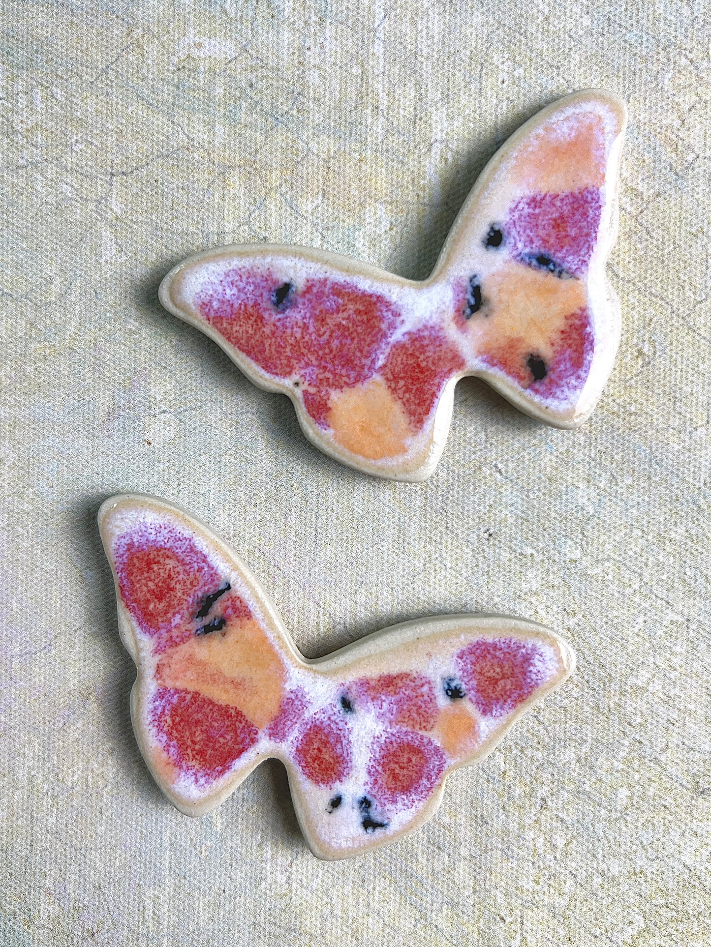Butterfly & Moth Magnet