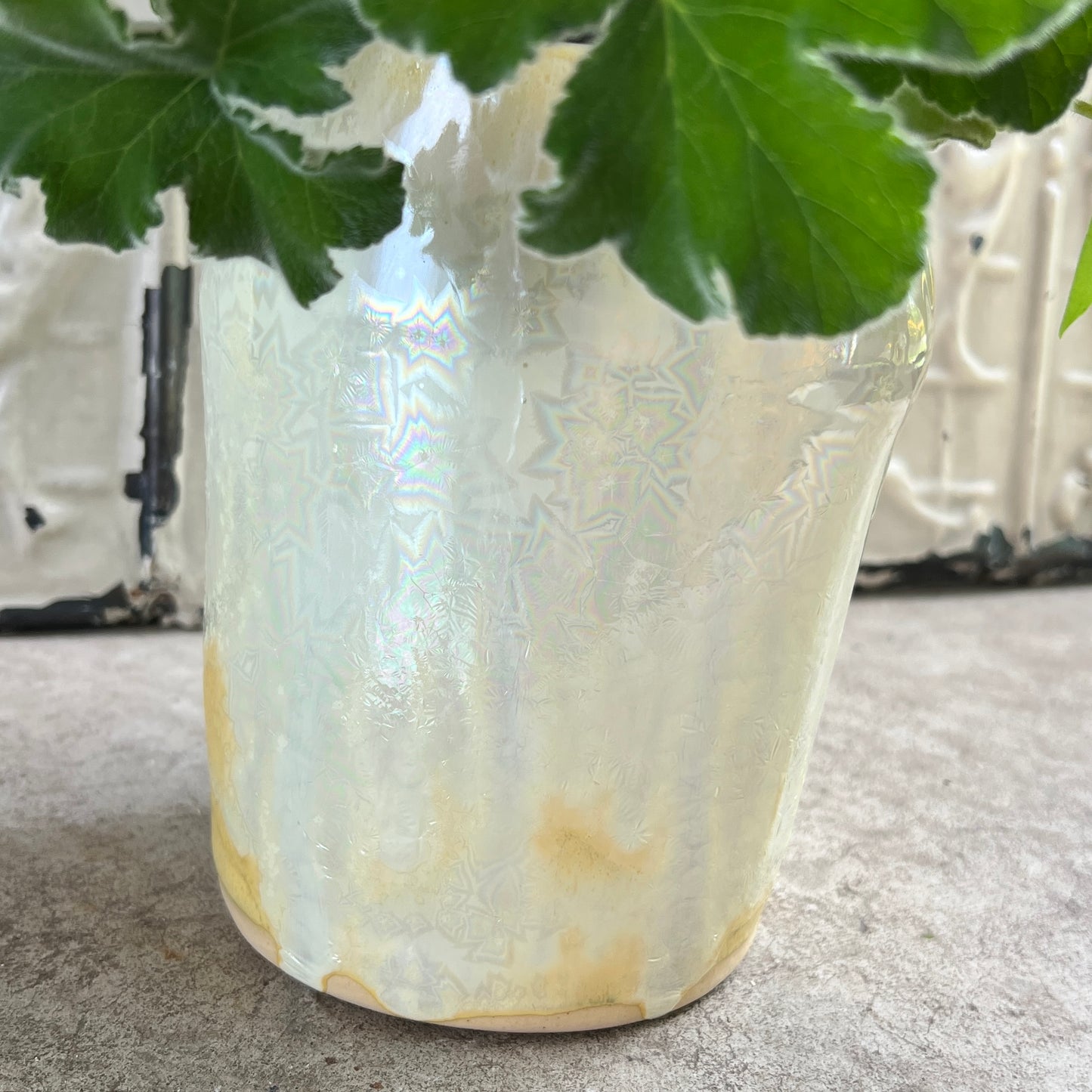 Sculpted Vase + Seasonal Blooms