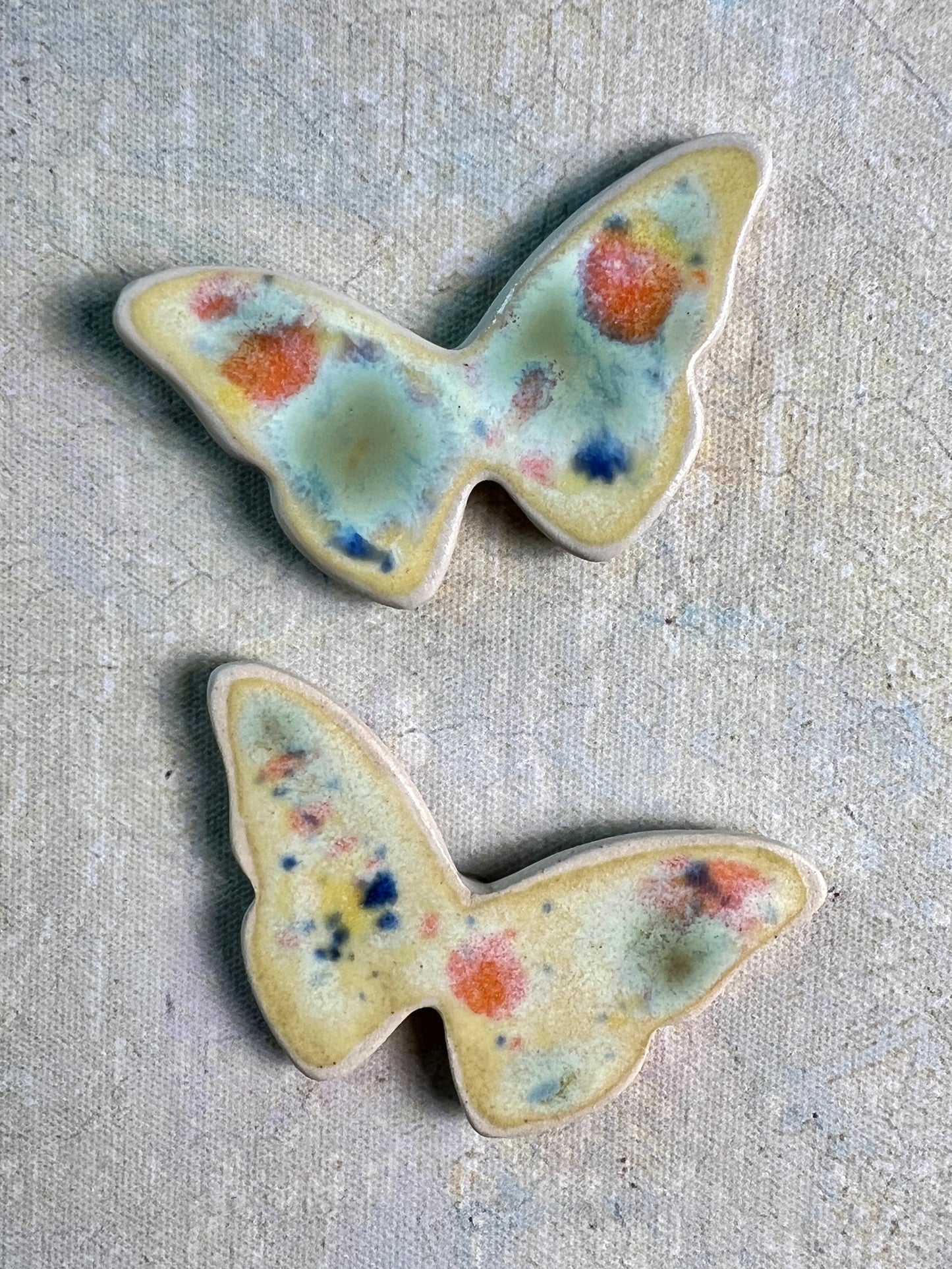 Butterfly & Moth Magnet