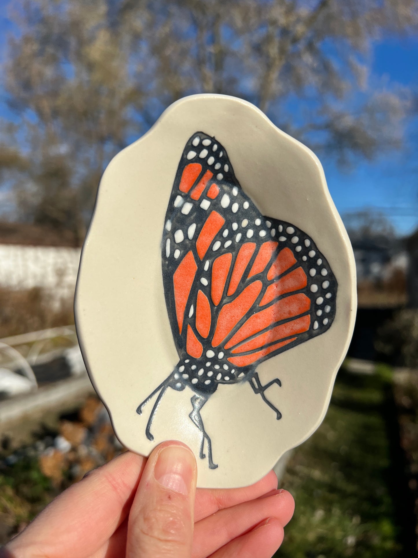 Small Monarch Dishes