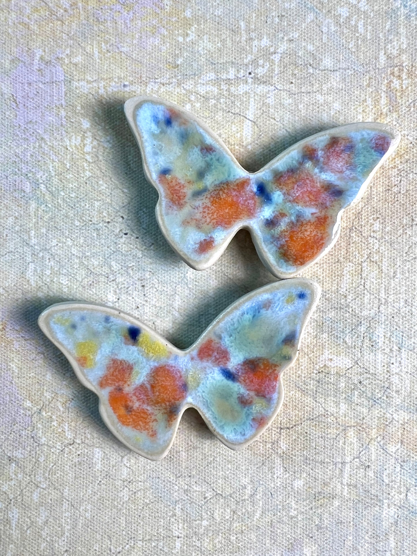 Butterfly & Moth Magnet
