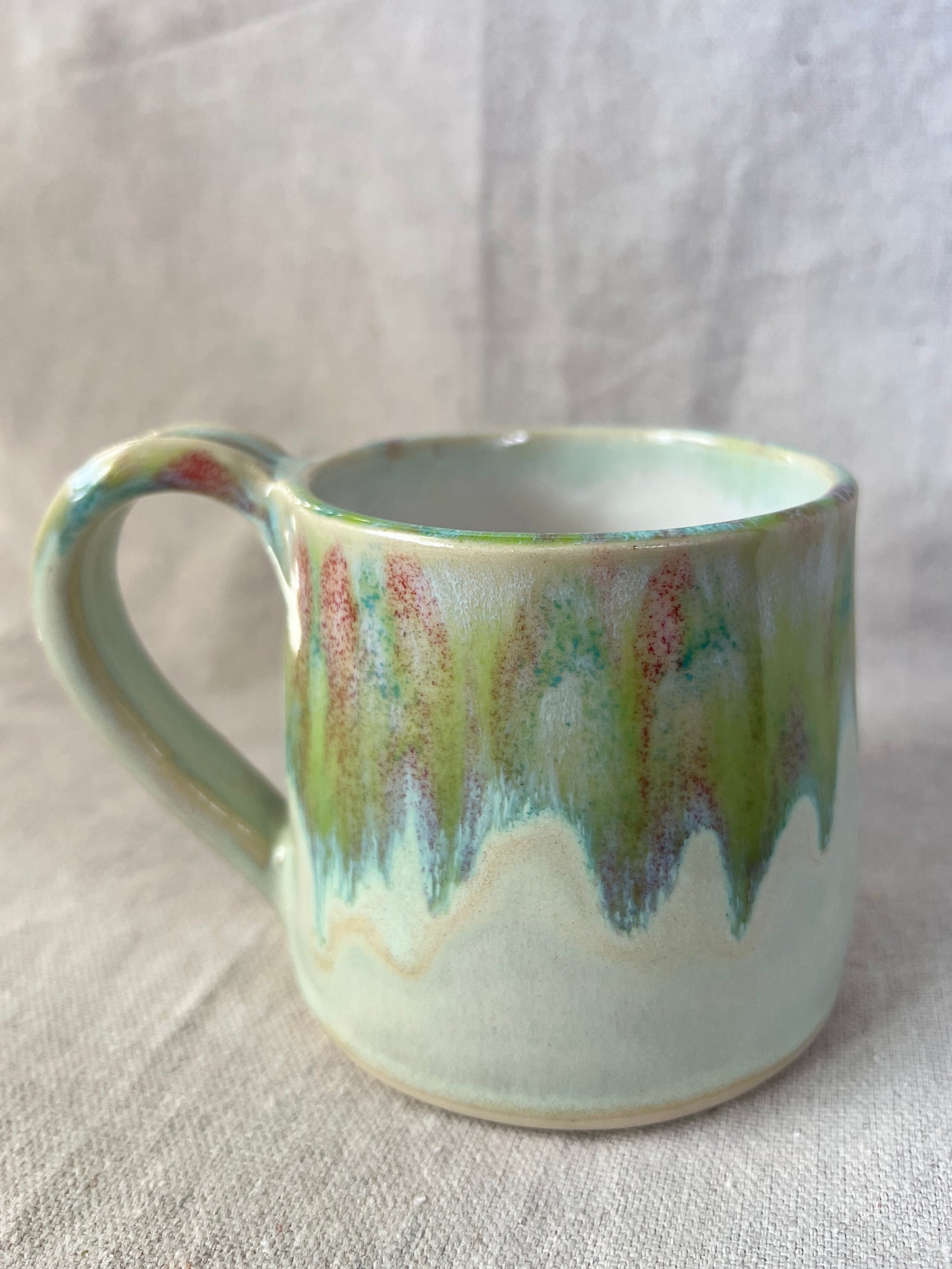 Cicada Mug
