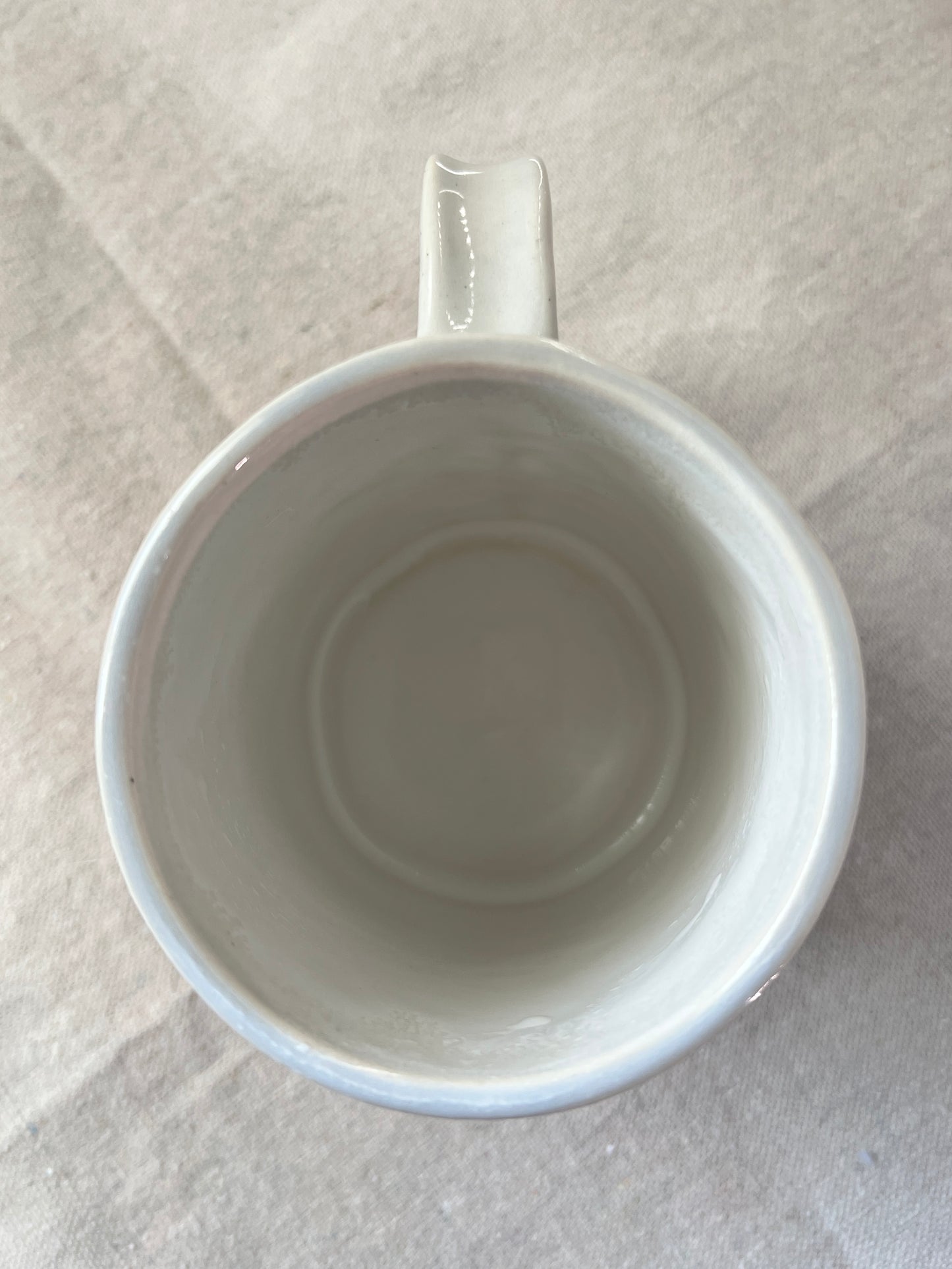 Monarch Life Cycle Mug